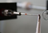 Bei der Elektroantennographie (EAG) strömt ein Mix flüchtiger Substanzen an den Antennen des jeweiligen Insektes vorbei. Ein Gerät registriert, worauf die Antennen reagieren. Dazu müssen z.T. die Antennen oder der Kopf des Insektes abgetrennt werden. Credits: Bruna Czarnobai, Julius Kühn-Institut