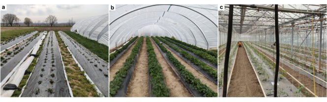 Credits: Alessandro Fabrizi, Universität Augsburg