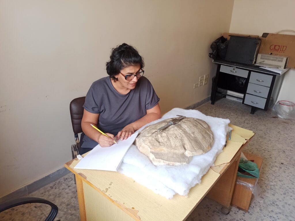 Credits: Wafa Adel Alhalabi