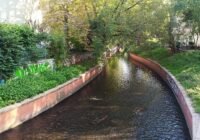 Credits: Maria Magdalena Warter