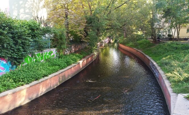 newsimage410857 | Pugnalom Credits: Maria Magdalena Warter