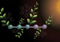 Credits: Deyanira Geisnæs Schaad