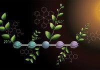 Credits: Deyanira Geisnæs Schaad