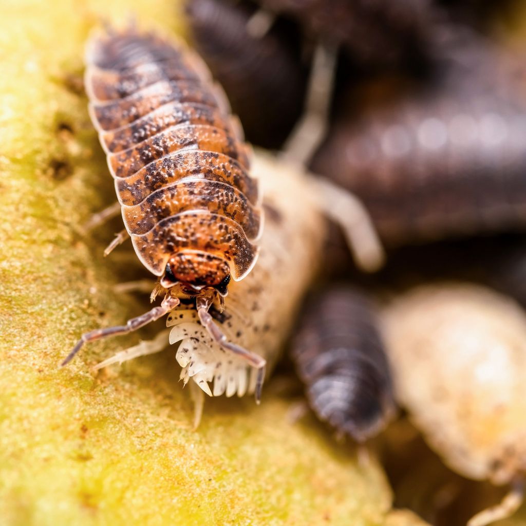 Credits: Andreas Fischer