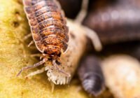 Credits: Andreas Fischer