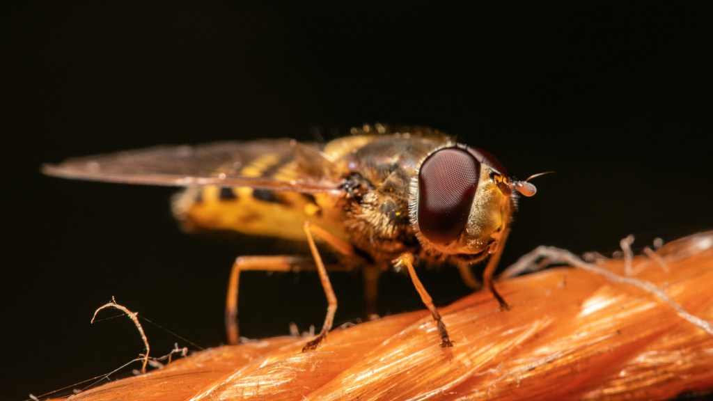 Credits: Peter F. Wolf, unsplash