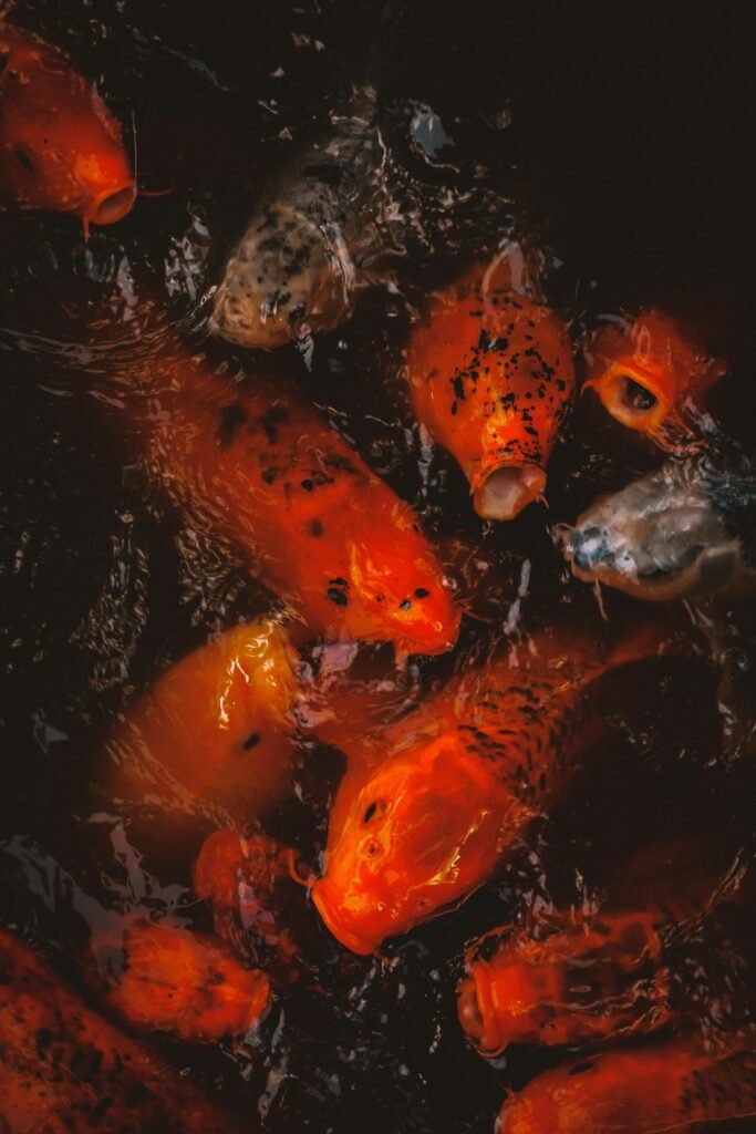 Credits: AINNNEK, pexels