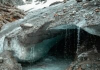 Credits: Gabii Fernandez, pexels