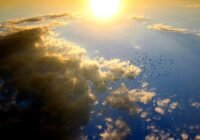 Credits: InstaWalli, pexels