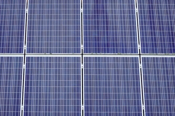 Credits: Jan Van Bizar, pexels