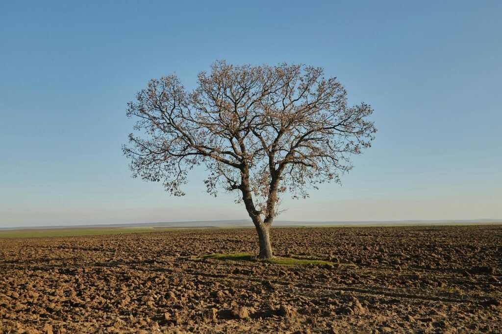 Credits: Meriç Tuna, pexels