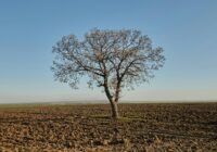 Credits: Meriç Tuna, pexels