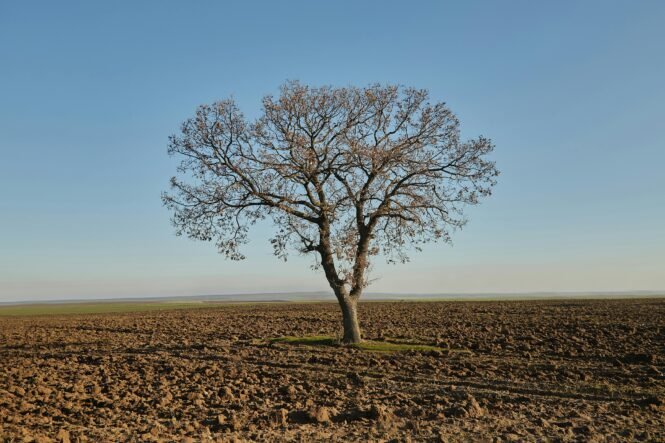 Credits: Meriç Tuna, pexels