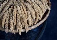 Credits: nnitatong, pexels