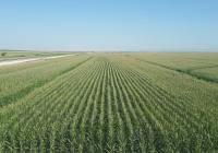 Credits: Ramazan Ceran, pexels