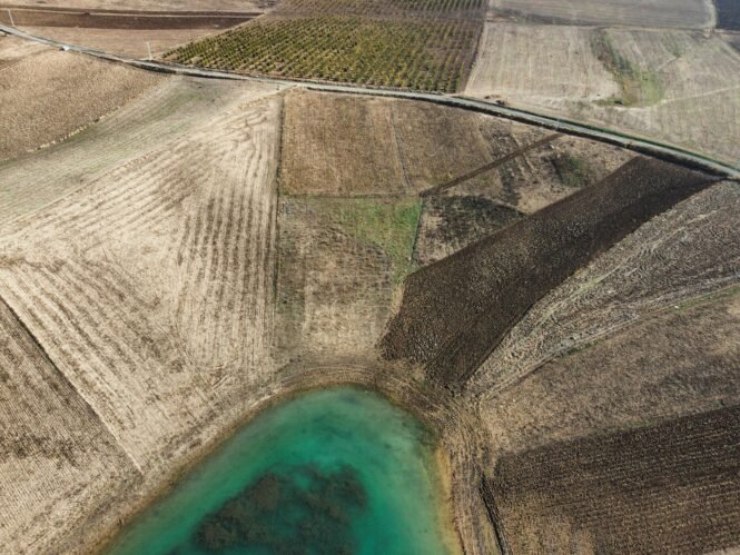 pexels-serhattugg-19472403 | Pugnalom Credits: SERHAT TU?, pexels