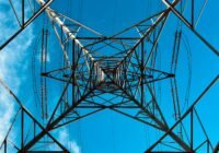 Credits: Rose Gallaway Green, unsplash