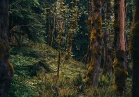 Credits: Thomas Williams, unsplash