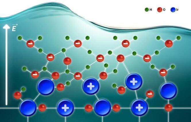 Low-Res_FHI_News_Sebastian_v2 | Pugnalom