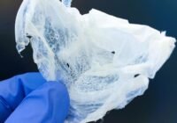 Der Kunststoff Polyhydroxyalkanoat (PHA), produziert aus organischen Säuren | Copyright: © Fraunhofer IGB