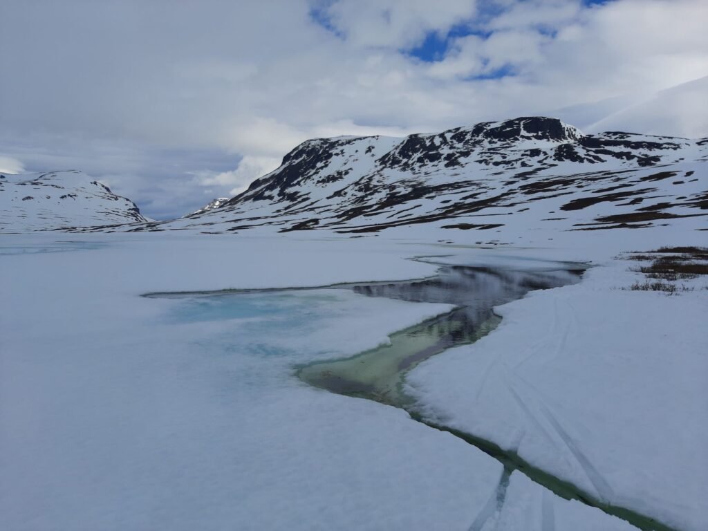 eljestokken1351384338062592436 | Pugnalom