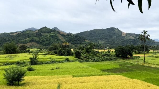 newsimage411767 | Pugnalom