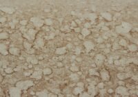 Credits: Ilya Klimenko, pexels