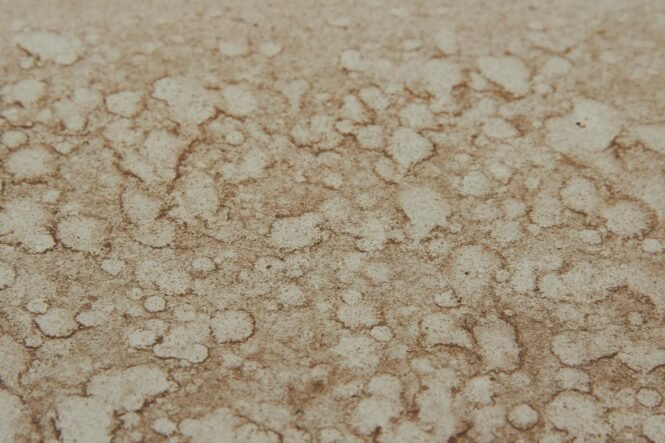 Credits: Ilya Klimenko, pexels