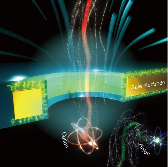 ig201sutsui5867584 | Pugnalom