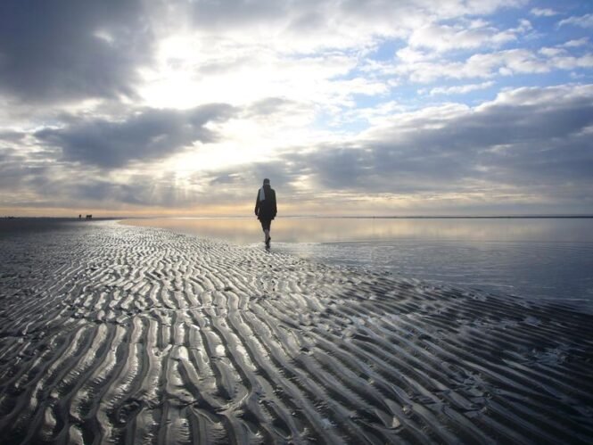 newsimage414962 | Pugnalom