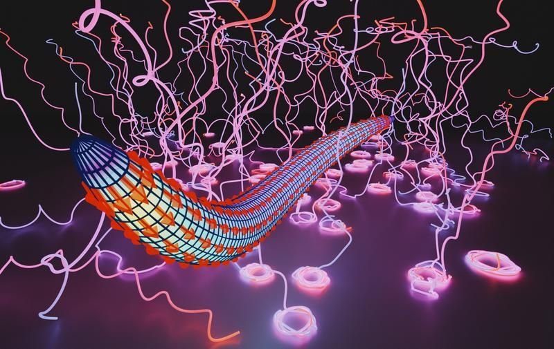 newsimage4150298921500507011046089 | Pugnalom Die Visualisierung zeigt, dass der einzellige Malaria-Erreger Plasmodium in seinen frühen Stadien ei ...Copyright: © Leon Lettermann mit Blender
