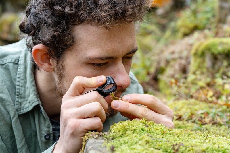 Moose | Pugnalom Erstautor der Studie, der Biologe Till Deilmann von der Uni Jena, nimmt Moospflanzen unter die Lupe. | Quelle: Nicole Nerger/Uni Jena