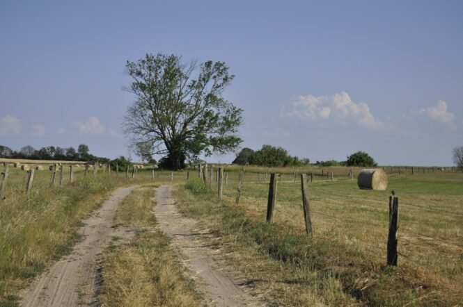 kristin-snippe-kT7-izDC648-unsplash | Pugnalom