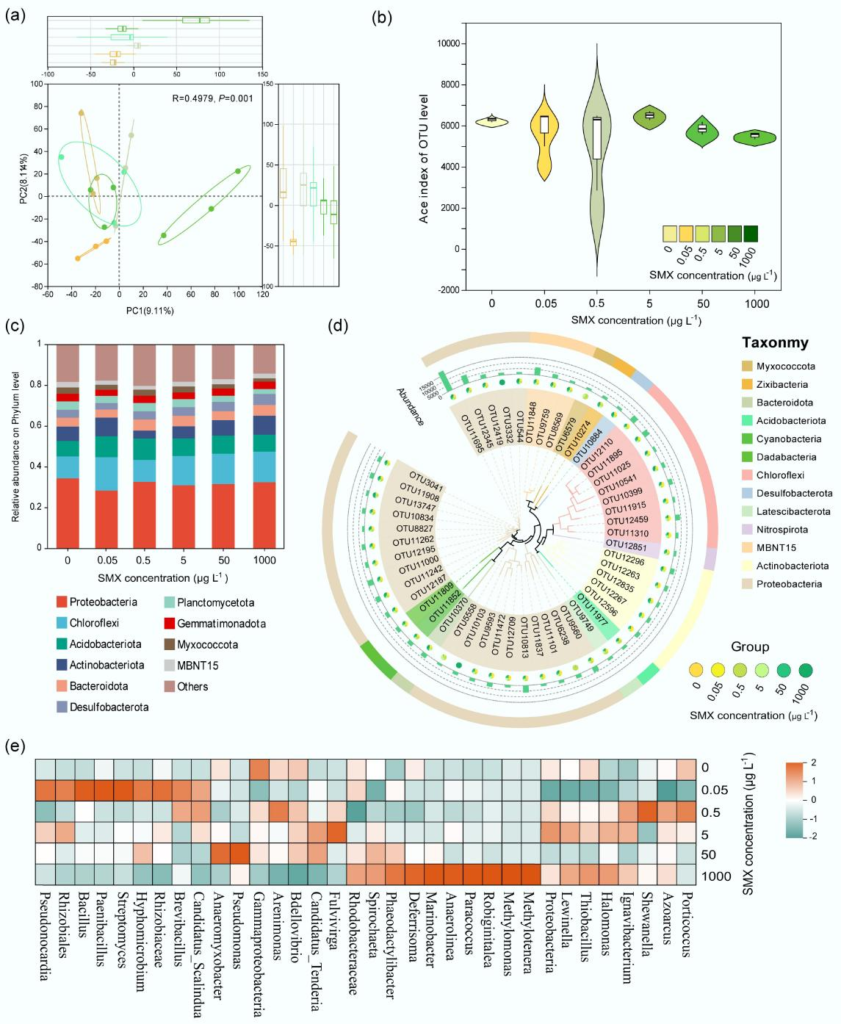 597898728789626097561721427 | Pugnalom