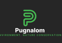 Pugnalom powered by LabNews Media LLC