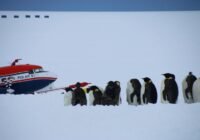 Die Flugkampagne SANAT untersuchte den Ursprung und Transport von Aerosolen in der antarktischen Atmosphäre, an denen sich Wolken bilden – Das erste Mal auch weit im Landesinneren. | Quelle: Philipp Joppe | Copyright: Philipp Joppe, MPI für Chemie