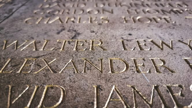 ashkan-shahrokh-UeoVTVxXSho-unsplashjpg | Pugnalom