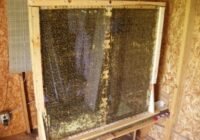 Der in den Experimenten verwendete Beobachtungsbienenstock mit acht Rahmen, dessen Gitter auf das Glas gemalt ist. C:redits Byron N. Van Nest, CC-BY 4.0 (https://creativecommons.org/licenses/by/4.0/)