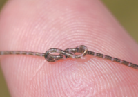 Revolution auf kleinster Fläche: der chinesische Faserchip. Credits: Fudan University