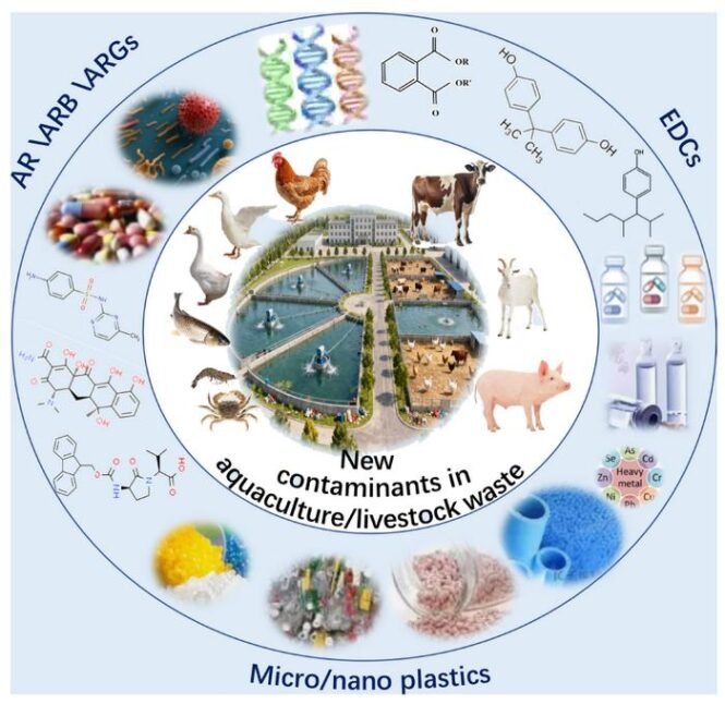 Neue Schadstoffe in Abwässern aus Aquakultur und Tierhaltung: vom Verbleib in der Umwelt bis zu Technologien zur Schadensminderung Credits: Shuyu Sun, Jingrui Deng, Jingyi Li, Guixue Song, Siyuan Ye und Qigui Niu