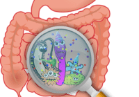 Der menschliche Darm birgt immer noch ungelöste Rätsel. Credits: OpenClipart-Vectors, Pixabay