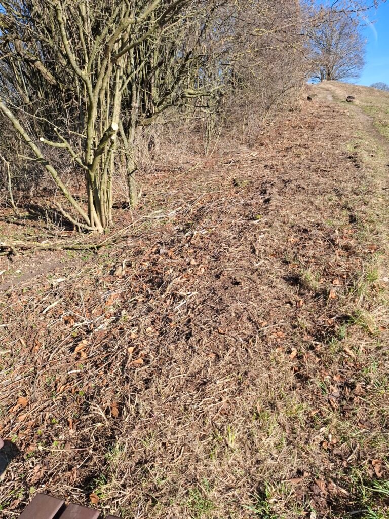 Statt Pflege Zerstörung: Einsatz von Schlegelmulchern im NSG Gipskarst: Credits: Pugnalom