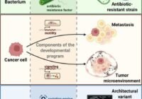 Three-panel infographic showing: bacteria with virulence factors leading to virulent/antibiotic-resistant strains; cancer cells showing metastasis to the tumor microenvironment; evolvable AI with a variant engine, codebases, and a new agent ability.