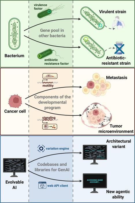 Three-panel infographic showing: bacteria with virulence factors leading to virulent/antibiotic-resistant strains; cancer cells showing metastasis to the tumor microenvironment; evolvable AI with a variant engine, codebases, and a new agent ability.