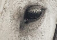 Credits: Diana, pexels