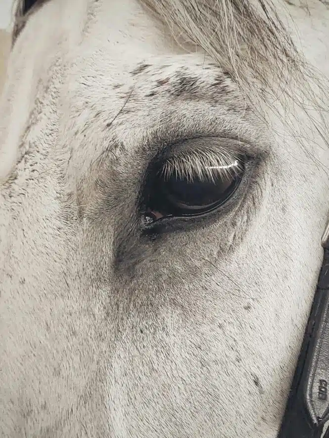Credits: Diana, pexels