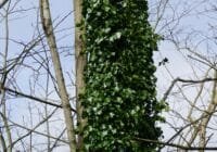 Credits: Richard Revel, pexels