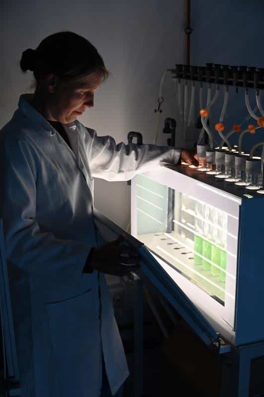 Researcher in a white lab coat loading sample tubes into a brightly lit laboratory analyzer.