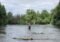 Person standing in a shallow river, fishing, with green trees lining both banks on a sunny day.