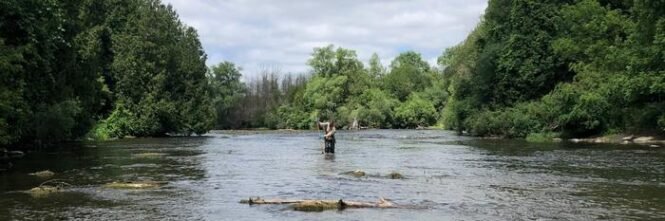 Person standing in a shallow river, fishing, with green trees lining both banks on a sunny day.